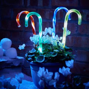 Multi - 4 Pack Christmas Candy Cane Lights