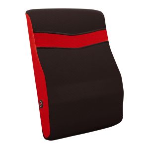 Back Massage Cushion
