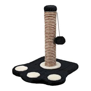 Cat Scratching Play Post